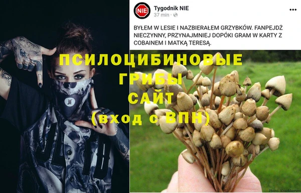 бутират Арсеньев