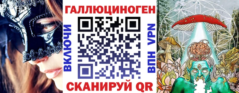Купить  Терек  Галлюциногенные грибы мицелий 